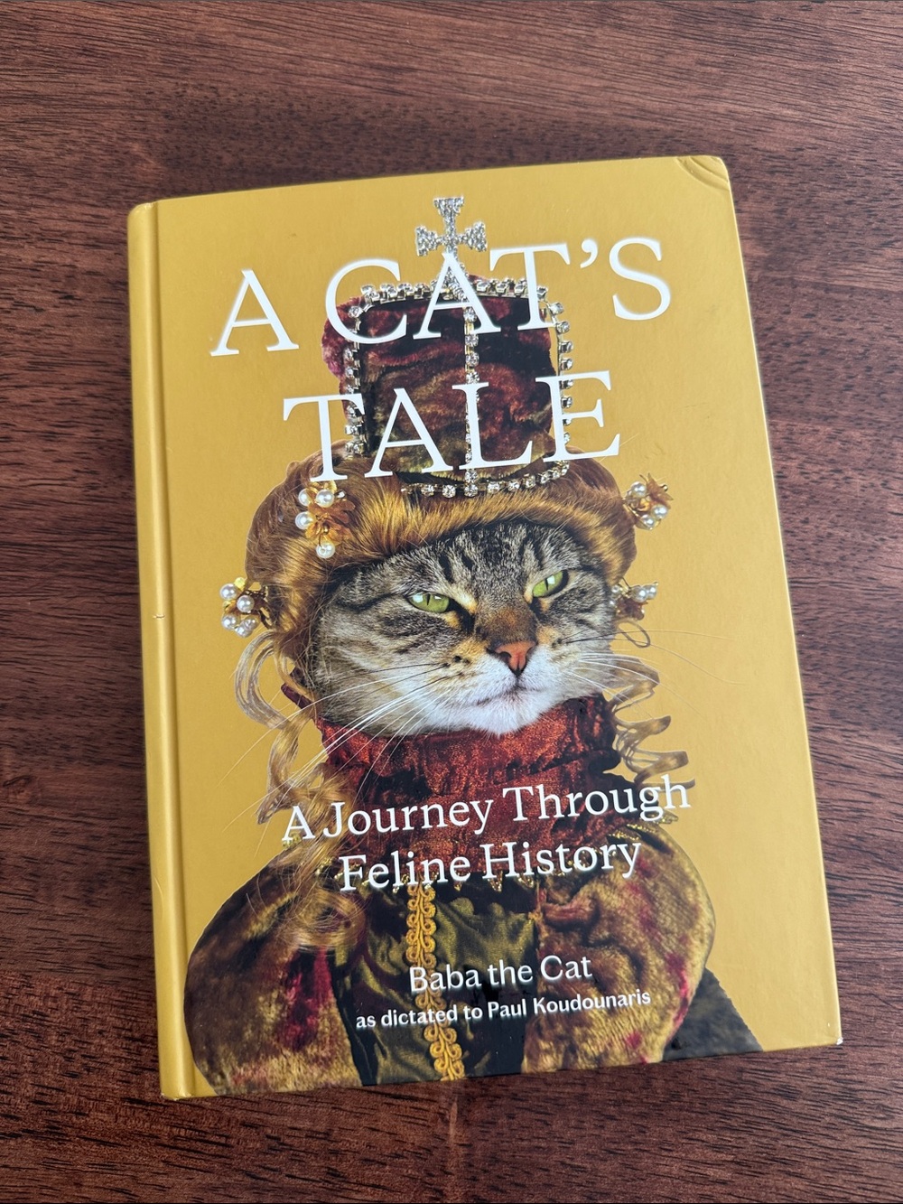 A Cat’s Tale a journey through feline history hardcover book